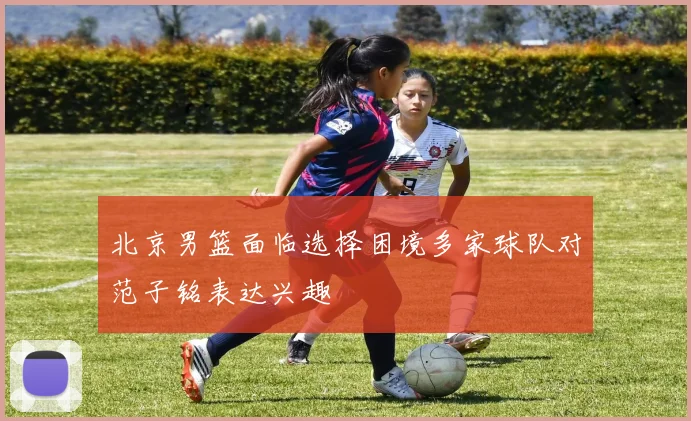 北京男篮面临选择困境多家球队对范子铭表达兴趣